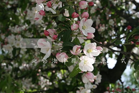北仑法律顾问联系方式 北仑法律顾问联系方式
