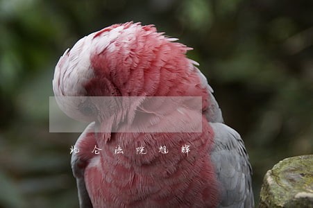 北仑法院旭辉