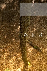 北仑消费维权律师 北仑消费维权律师