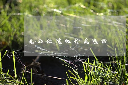 北公法院执行庭电话 北公法院执行庭电话