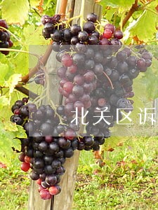 北关区诉讼律师收费标准
