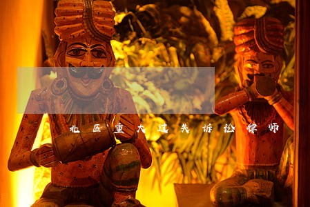 北区重大过失诉讼律师 北区重大过失诉讼律师