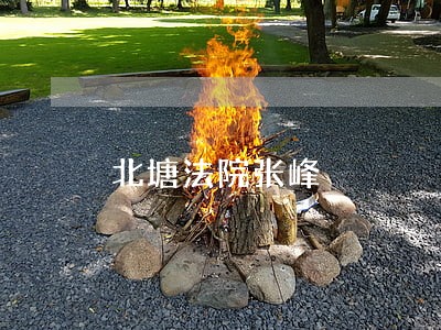 北塘法院张峰