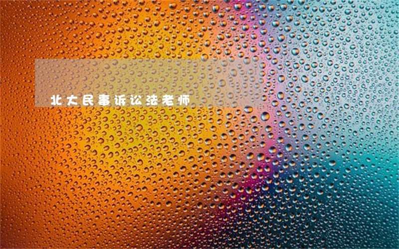 北大民事诉讼法老师 北大民事诉讼法老师