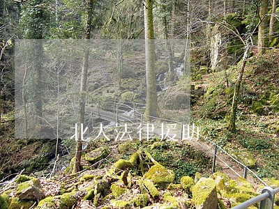 北大法律援助