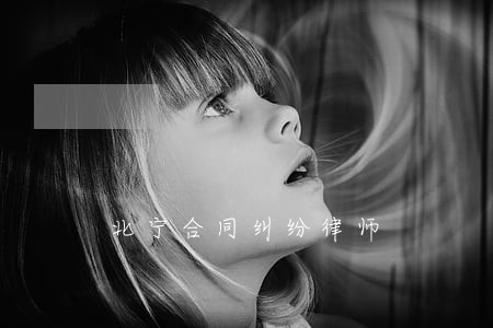 北宁合同纠纷律师 北宁合同纠纷律师