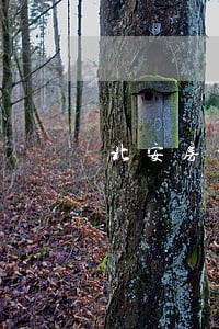 北安房地产律师 北安房地产律师