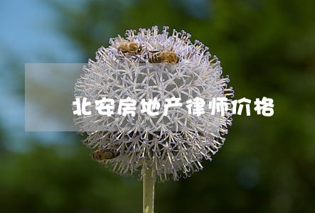 北安房地产律师价格 北安房地产律师价格
