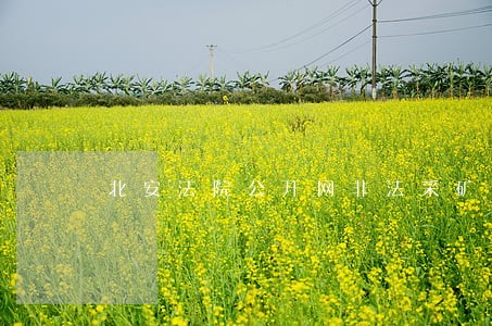 北安法院公开网非法采矿兹友续 北安法院公开网非法采矿兹友续