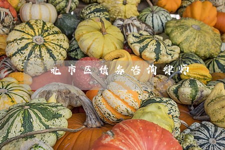 北市区债务咨询律师 北市区债务咨询律师
