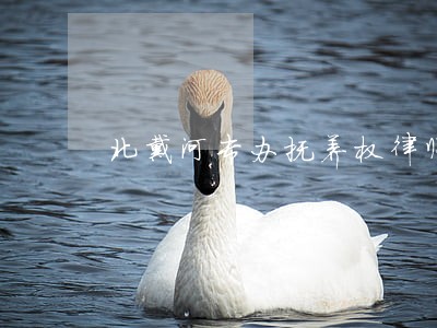 北戴河专办抚养权律师 北戴河专办抚养权律师