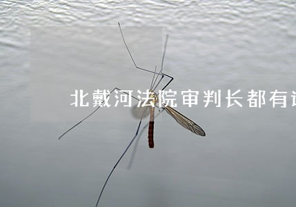 北戴河法院审判长都有谁 北戴河法院审判长都有谁