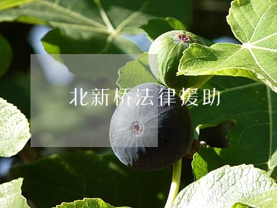 北新桥法律援助 北新桥法律援助