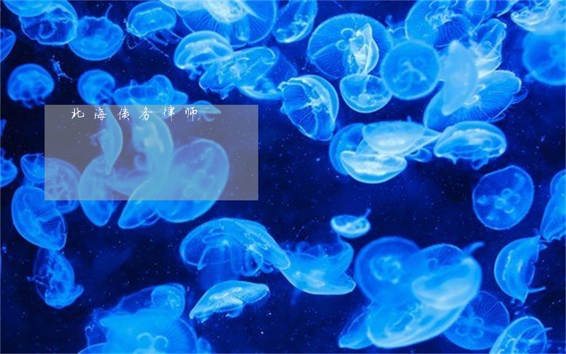 北海债务律师 北海债务律师