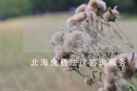 北海免费法律咨询服务 北海免费法律咨询服务
