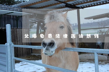 北海免费法律咨询热线 北海免费法律咨询热线