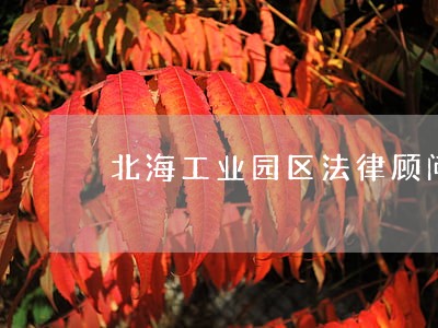 北海工业园区法律顾问 北海工业园区法律顾问