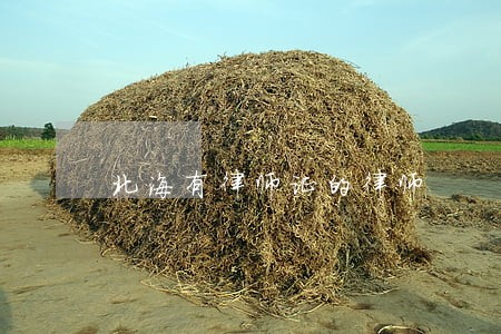 北海有律师证的律师 北海有律师证的律师