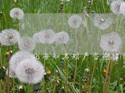 北海知名财产咨询律师赔偿 北海知名财产咨询律师赔偿
