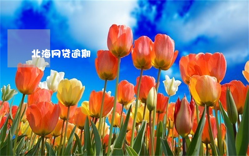 北海网贷逾期 北海网贷逾期
