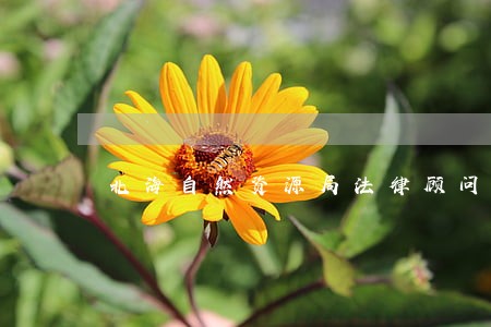 北海自然资源局法律顾问