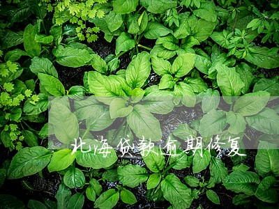 北海贷款逾期修复 北海贷款逾期修复