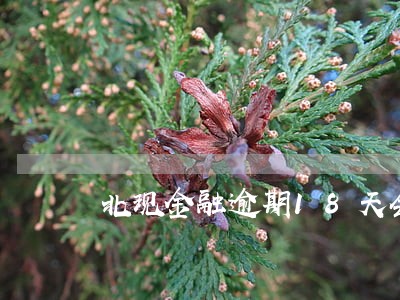 北现金融逾期18天会怎么样