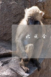 北现金融逾期5天 北现金融逾期5天