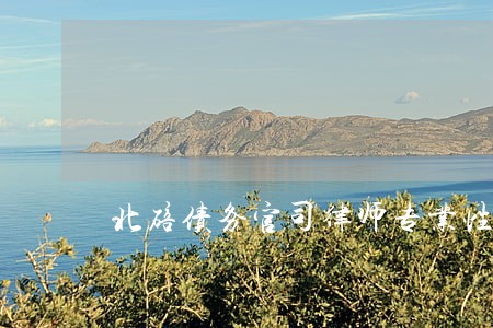 北碚债务官司律师专业性强 北碚债务官司律师专业性强