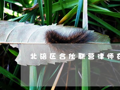 北碚区合伙联营律师在线免费咨询 北碚区合伙联营律师在线免费咨询