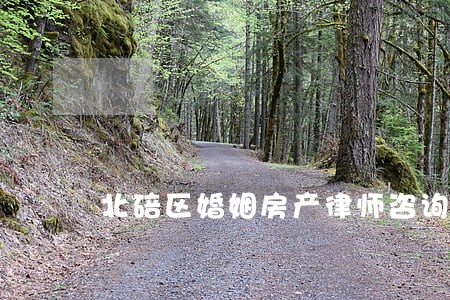 北碚区婚姻房产律师咨询网站 北碚区婚姻房产律师咨询网站