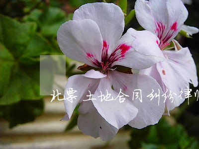 北票土地合同纠纷律师 北票土地合同纠纷律师