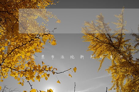 北票市法院新判的案件 北票市法院新判的案件