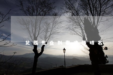 北辰专业刑事律师排名 北辰专业刑事律师排名