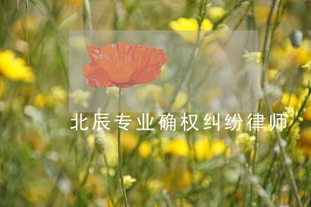 北辰专业确权纠纷律师