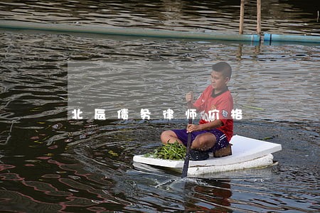 北辰债务律师价格 北辰债务律师价格