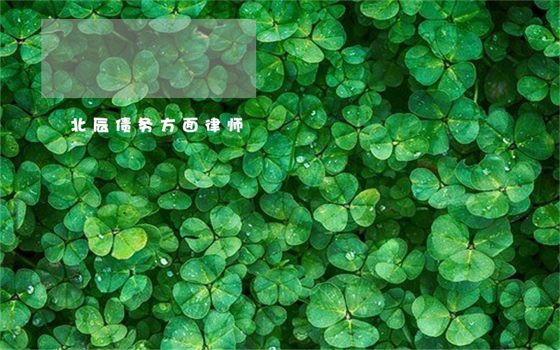 北辰债务方面律师 北辰债务方面律师