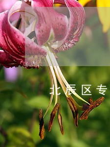 北辰区专业知识产权律师收费标准 北辰区专业知识产权律师收费标准