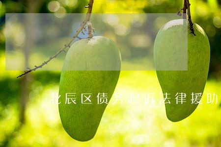 北辰区债务起诉法律援助