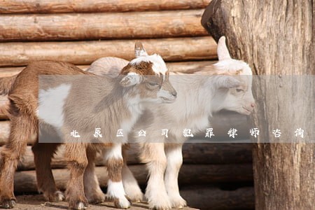 北辰区公司犯罪律师咨询电话 北辰区公司犯罪律师咨询电话