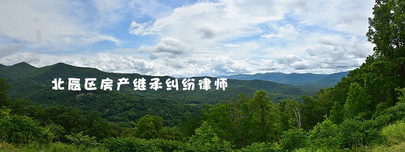北辰区房产继承纠纷律师 北辰区房产继承纠纷律师