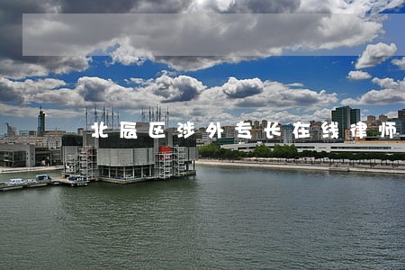 北辰区涉外专长在线律师 北辰区涉外专长在线律师