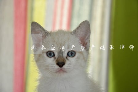 北辰区遗产房产继承律师 北辰区遗产房产继承律师