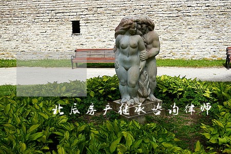 北辰房产继承咨询律师 北辰房产继承咨询律师