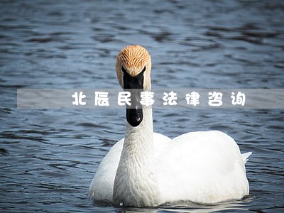 北辰民事法律咨询 北辰民事法律咨询