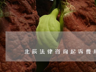 北辰法律咨询起诉费用 北辰法律咨询起诉费用