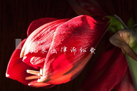 北辰法律诉讼费