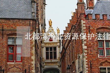 北部湾渔业资源保护法律问题研究 北部湾渔业资源保护法律问题研究