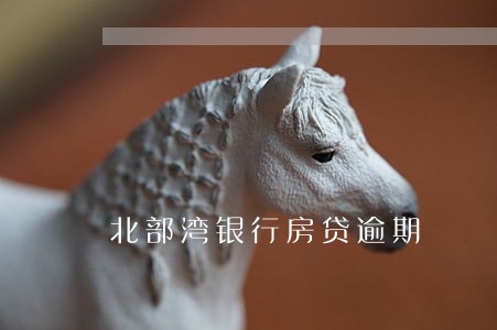 北部湾银行房贷逾期 北部湾银行房贷逾期