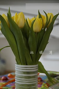 北银消费贷款三年只还本金 北银消费贷款三年只还本金